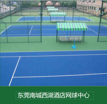 FIFA认证人造草坪在校园运动场地的应用案例分析